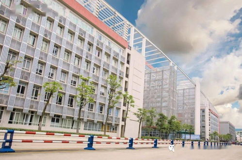 廣東食品藥品職業(yè)學(xué)院2021年五年一貫制高職班招生簡(jiǎn)章